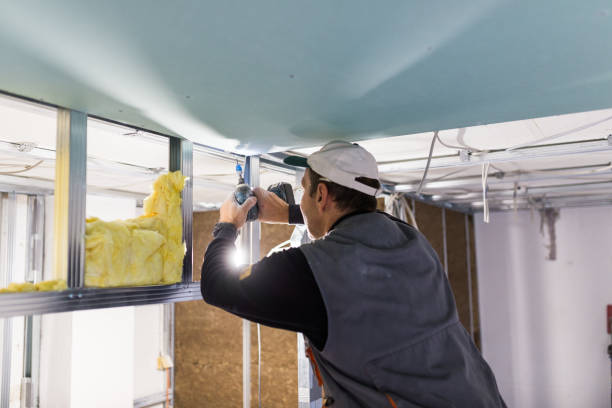 Best Insulation Installation Services in Mobridge, SD