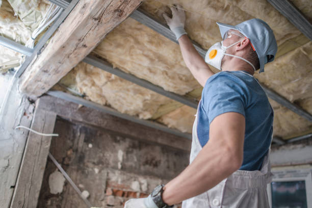 Best Insulation Maintenance and Repair in Mobridge, SD