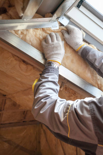 Best Insulation Installation Services in Mobridge, SD